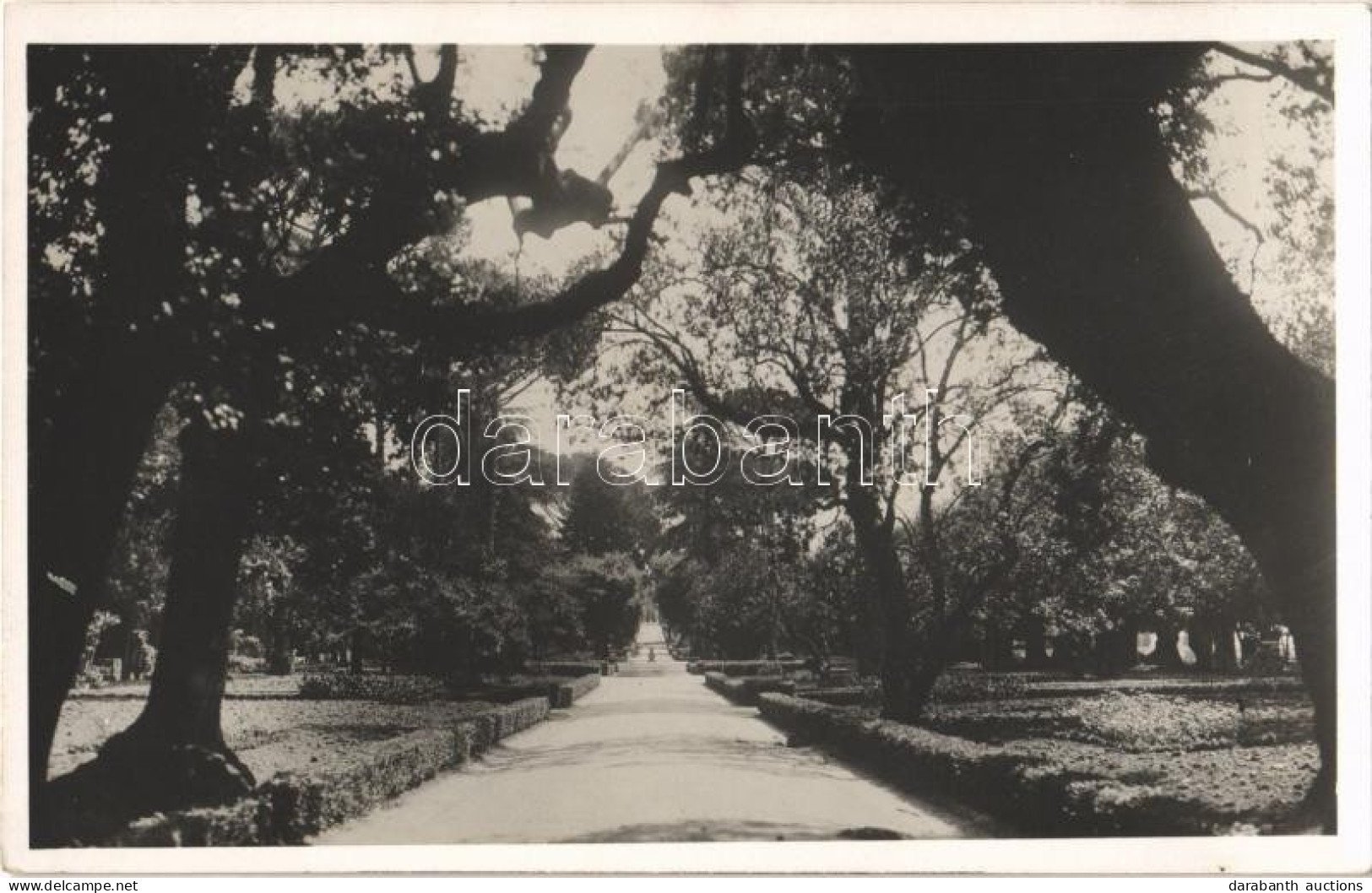 ** T2/T3 Castel Gandolfo, La Residenza Papale, Un Viale Della Villa / Papal Residence, Road To The Villa (fl) - Non Classificati