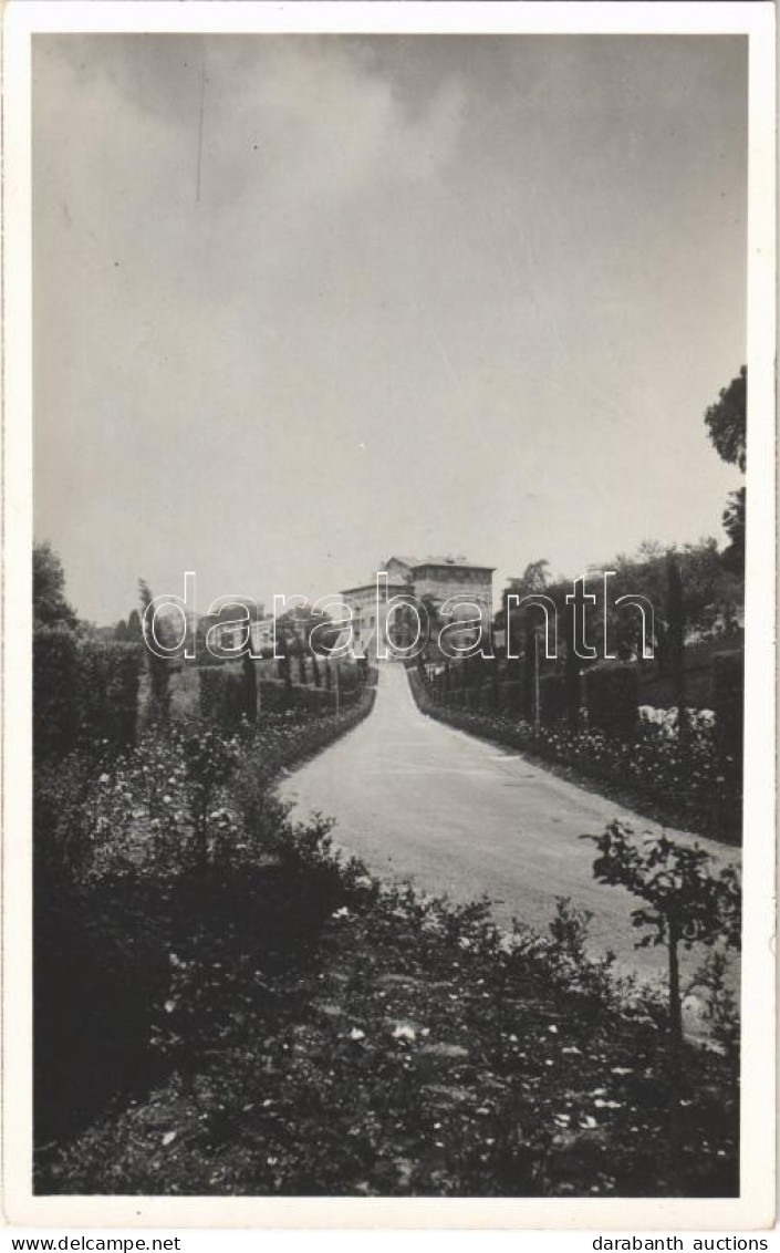 ** T1/T2 Castel Gandolfo, La Residenza Papale, Viale Delle Rose E Palazzo Barberini / Papal Residence, Road, Palace - Unclassified