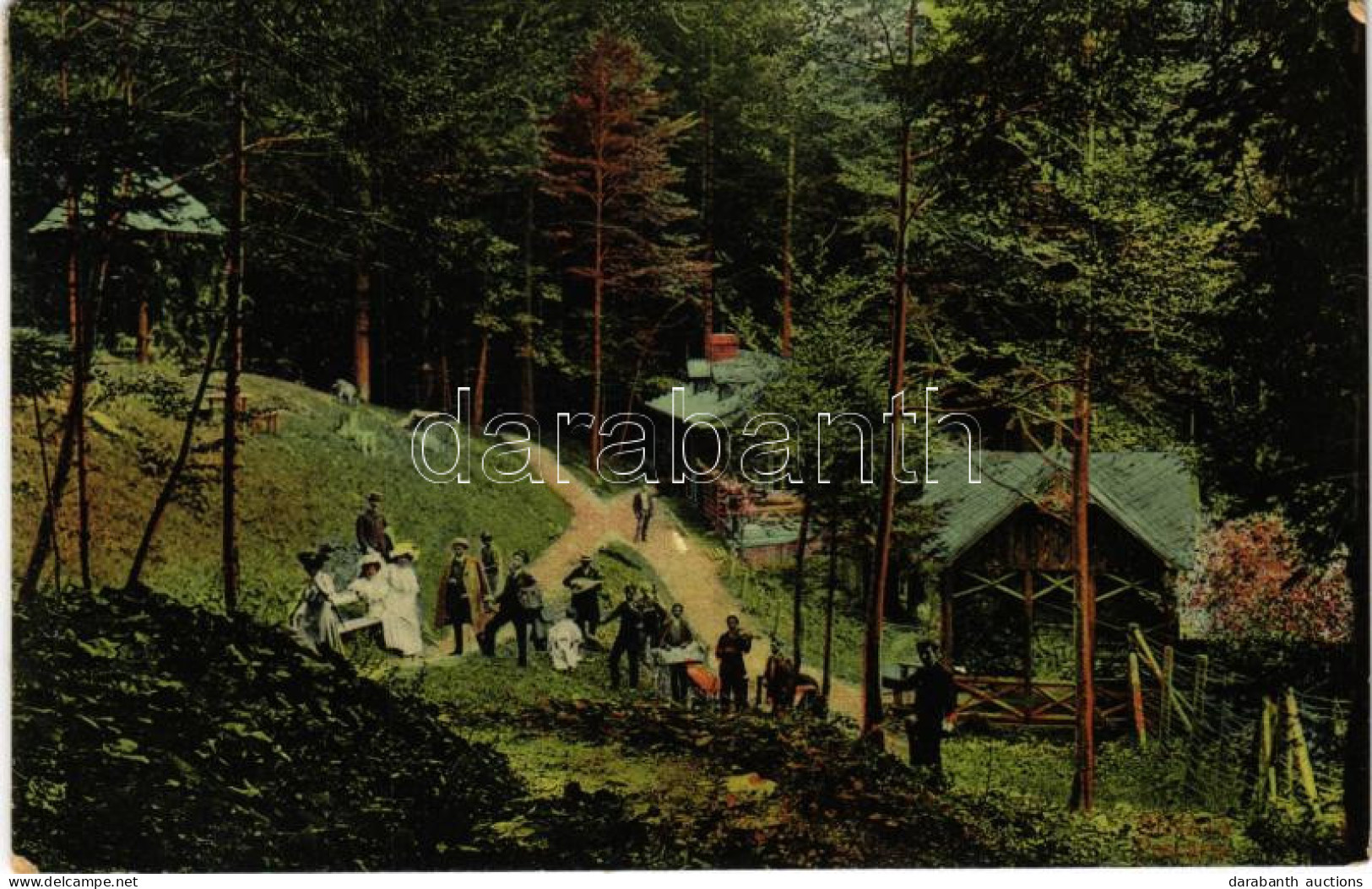 T3 1909 Sinaia, Forest (glue Marks) - Unclassified