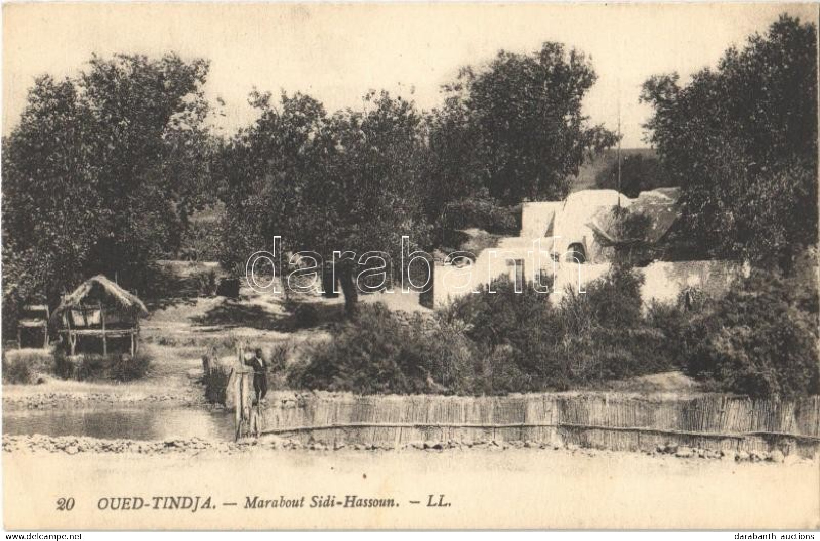 ** T2 Tinja, Tindja, Oued-Tindja; Marabout Sidi-Hassoun - Unclassified