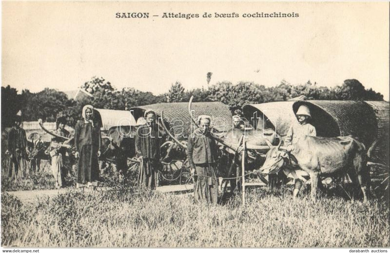 ** T1 Saigon, Ho Chi Minh City; Attelages De Boeufs Cochinchinois / Ox Carts - Ohne Zuordnung