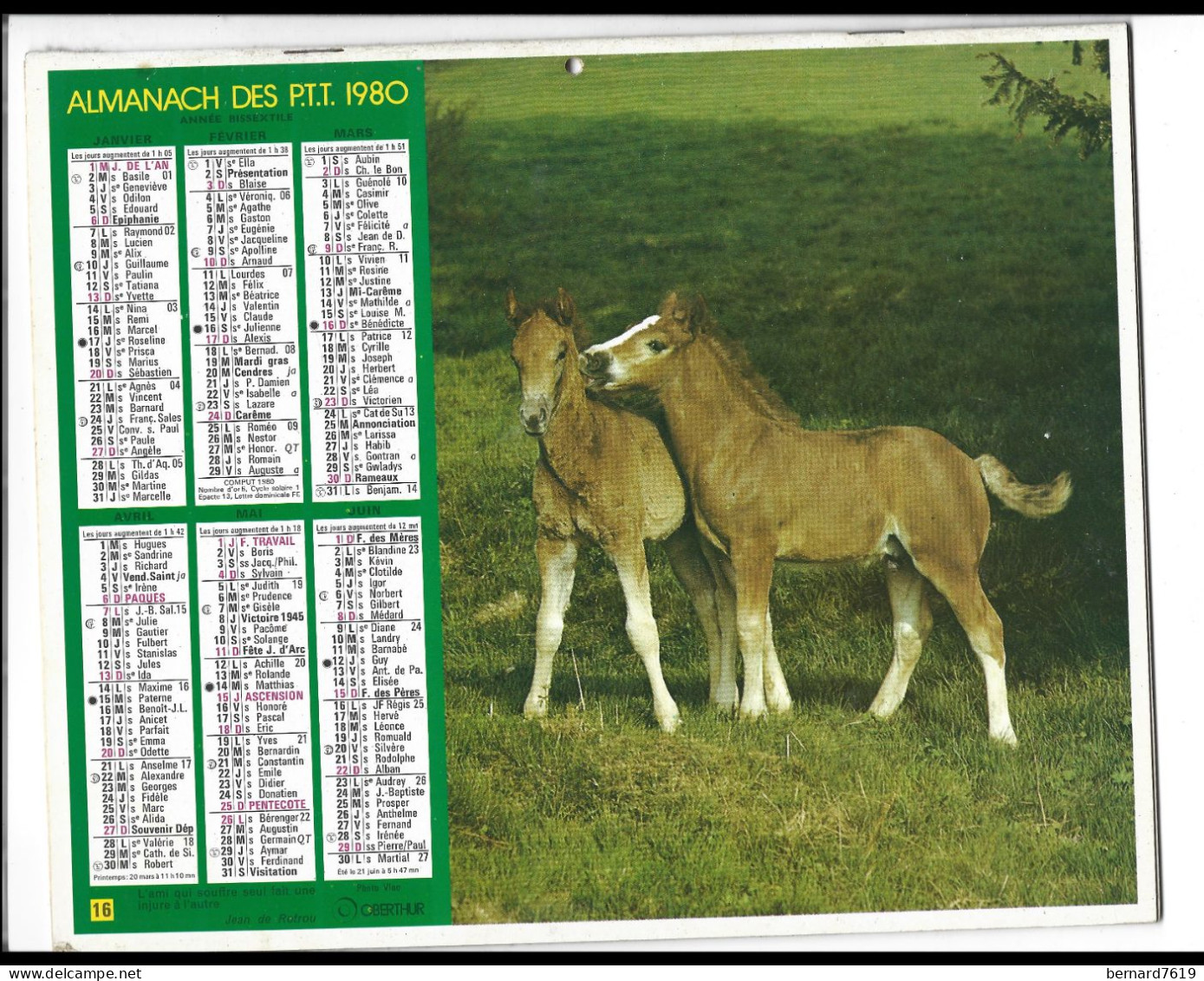 Almanach  Calendrier  P.T.T  -  La Poste -  1980 -  Chevaux - Perroquet - Autres & Non Classés