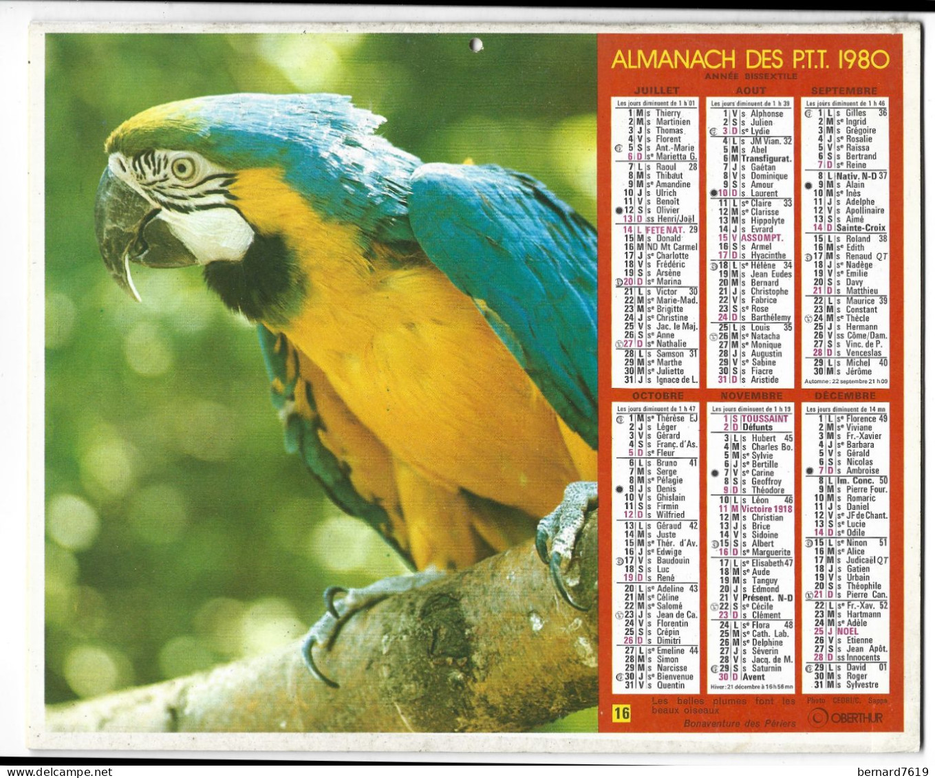 Almanach  Calendrier  P.T.T  -  La Poste -  1980 -  Chevaux - Perroquet - Andere & Zonder Classificatie