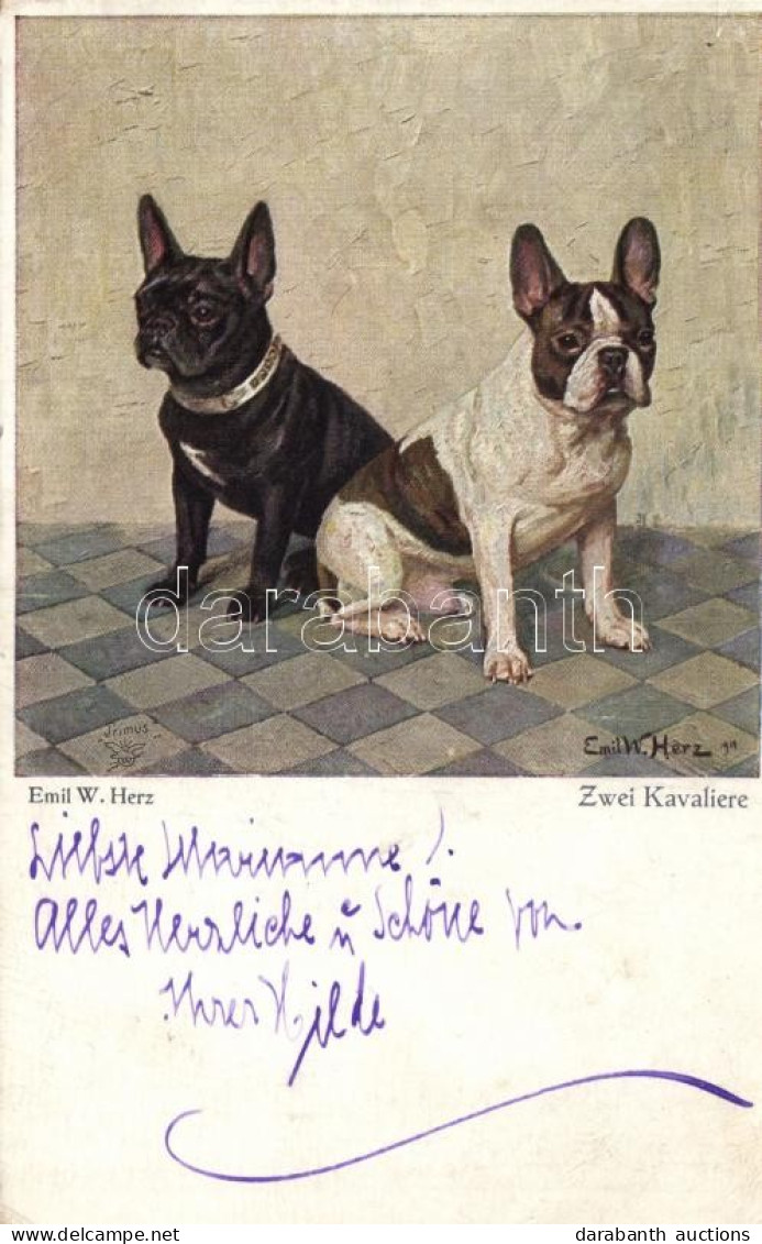 T2 'Zwei Kavaliere' / 'Two Cavaliers' French Bulldogs, Wohlgemuth & Lissner No. 5016 S: Emil W. Herz - Ohne Zuordnung
