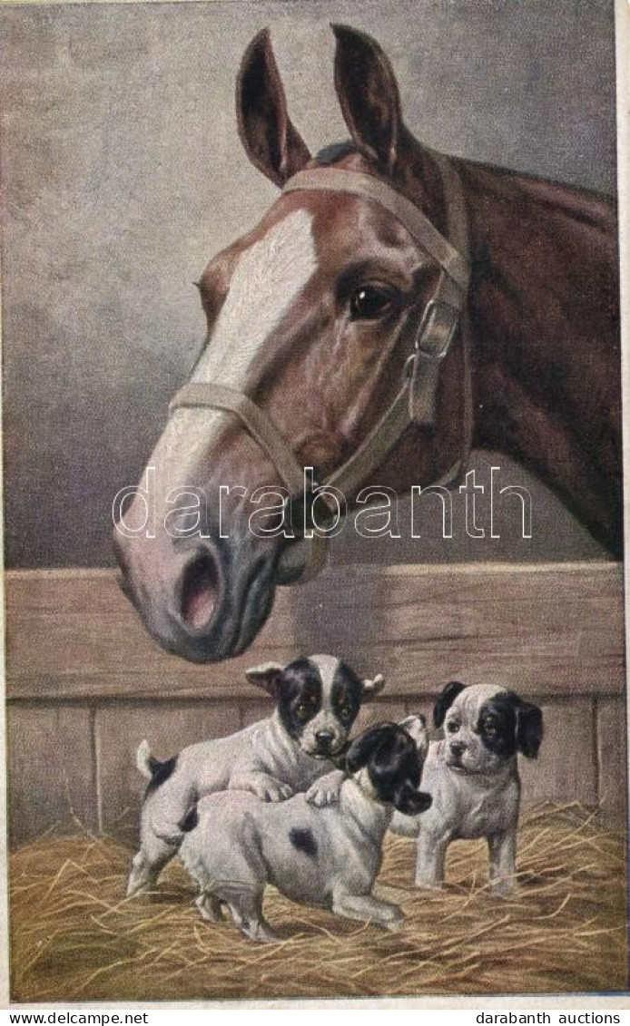 * T2 Horse With Dogs, M. Munk, Wien, Nr. 1169 - Unclassified