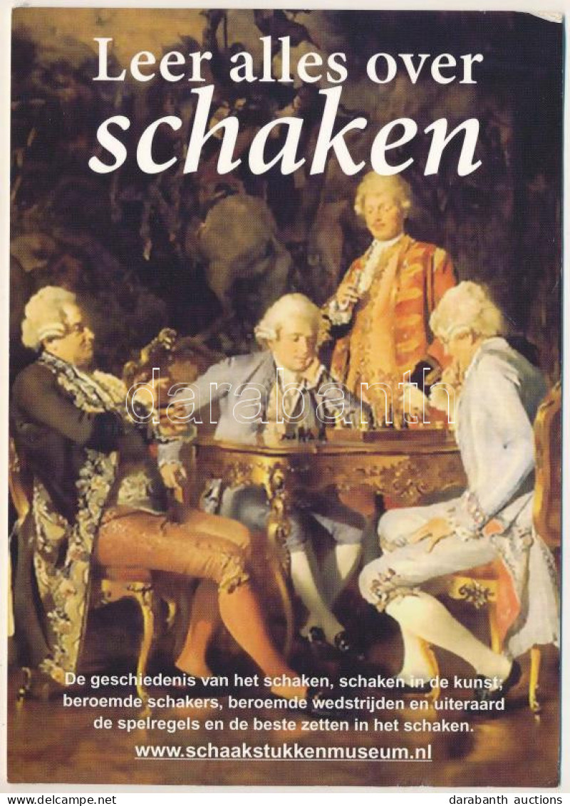 * T2/T3 Leer Alles Over Schaken / Dutch Chess Advertisement (non PC) (EK) - Ohne Zuordnung