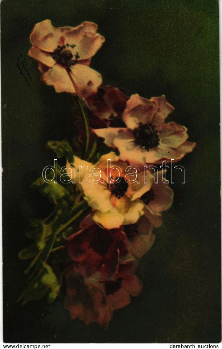 T2 1916 Flowers. Wenau-Postkarte Pastell No. 625. S: C. Klein - Unclassified