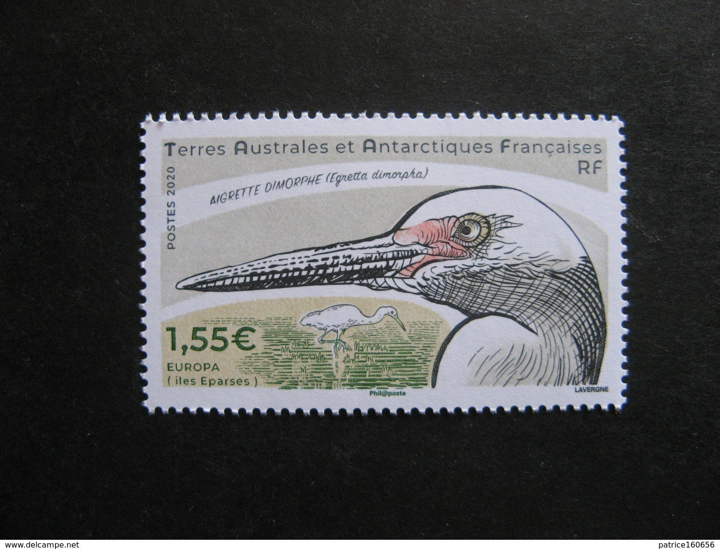TAAF:  TB N° 915, Neuf XX. - Unused Stamps