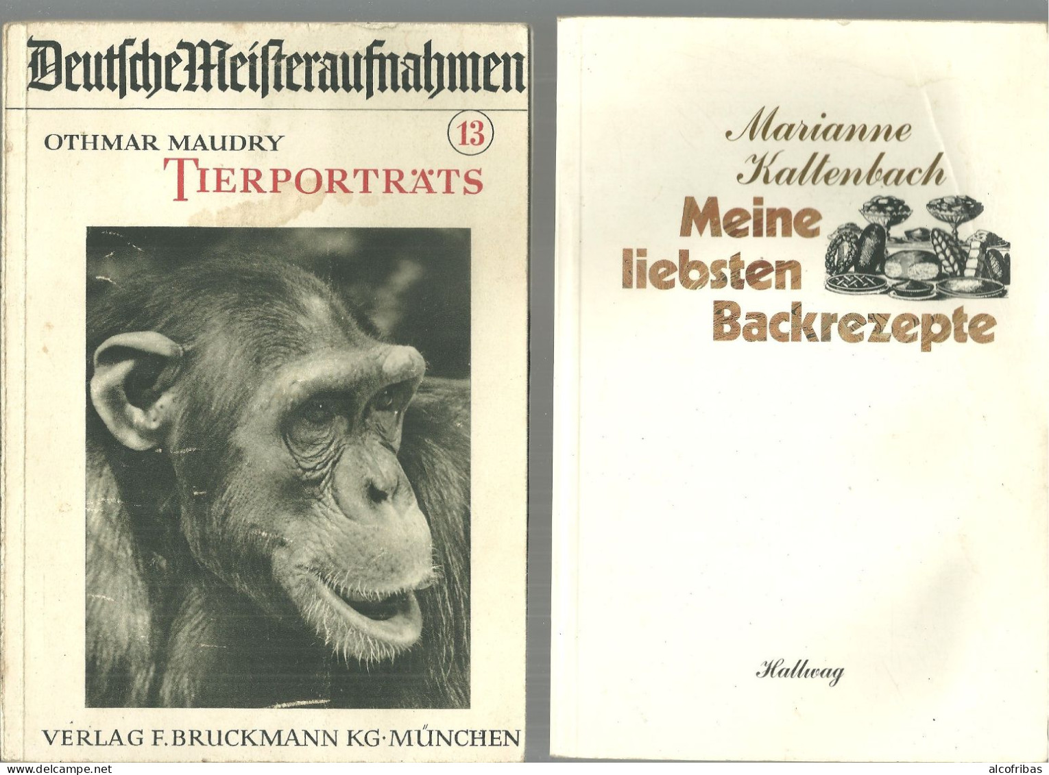 Tierportraits Othmar Maudry Deutsche Meisteraufnahmen Portraits D'animaux Bruckmann Munich - Animals