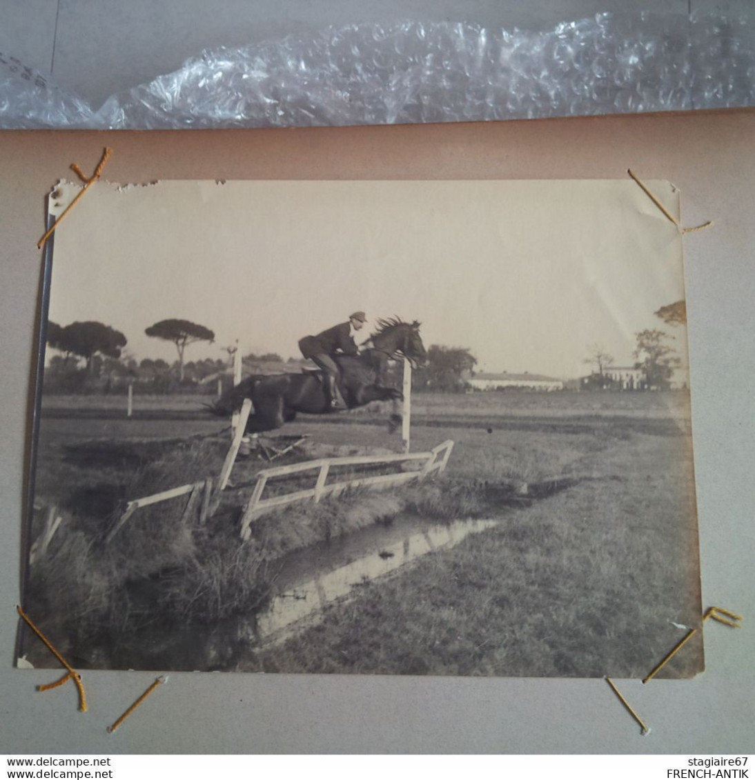 BELLE ALBUM PHOTO ET CARTE PHOTO SUR LE HIPPISME PAU BORDEAUX SALIE LE BEARN 156 DOCUMENTS - Alben & Sammlungen