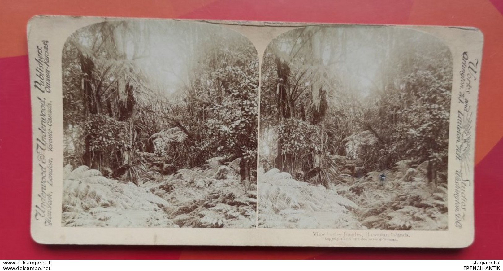 UNE VUE DES JUNGLES ILES HAWAÏ - Stereoscopes - Side-by-side Viewers