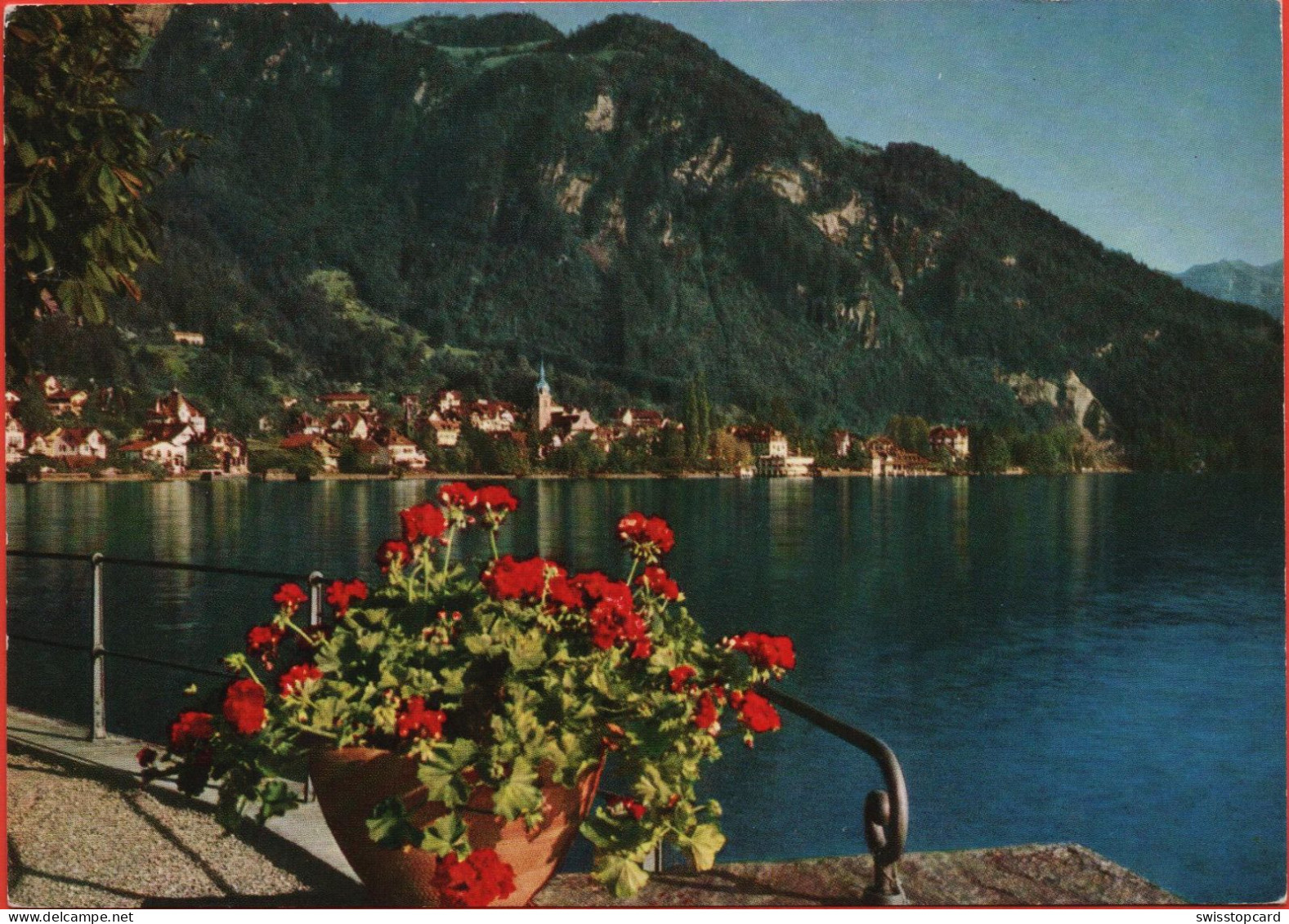 VITZNAU Ausblick Vom Park-Hotel Aufs Dorf - Vitznau