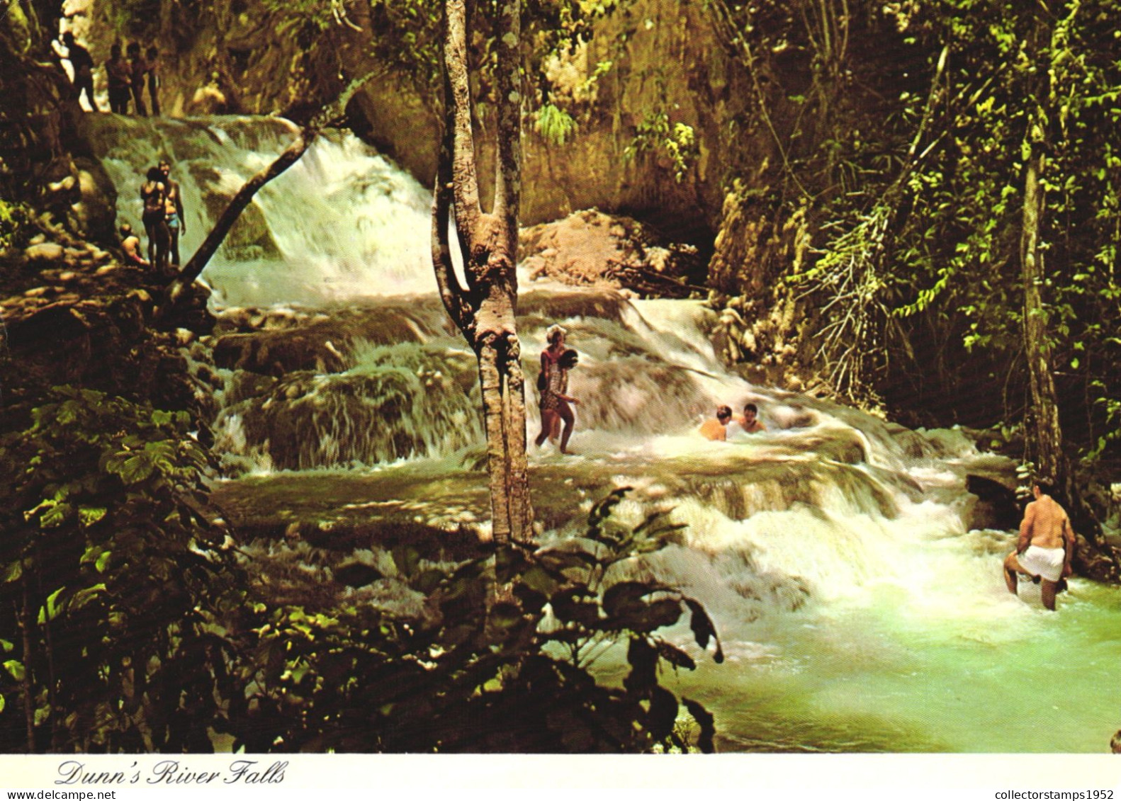 JAMAICA, DUNN'S RIVER FALLS, WATERFALL, ANTILLES, POSTCARD - Jamaïque