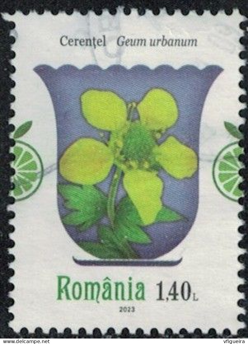 Roumanie 2023 Oblitéré Used Plantes Médicinales Geum Urbanum Benoîte Commune Y&T RO 6959 SU - Used Stamps