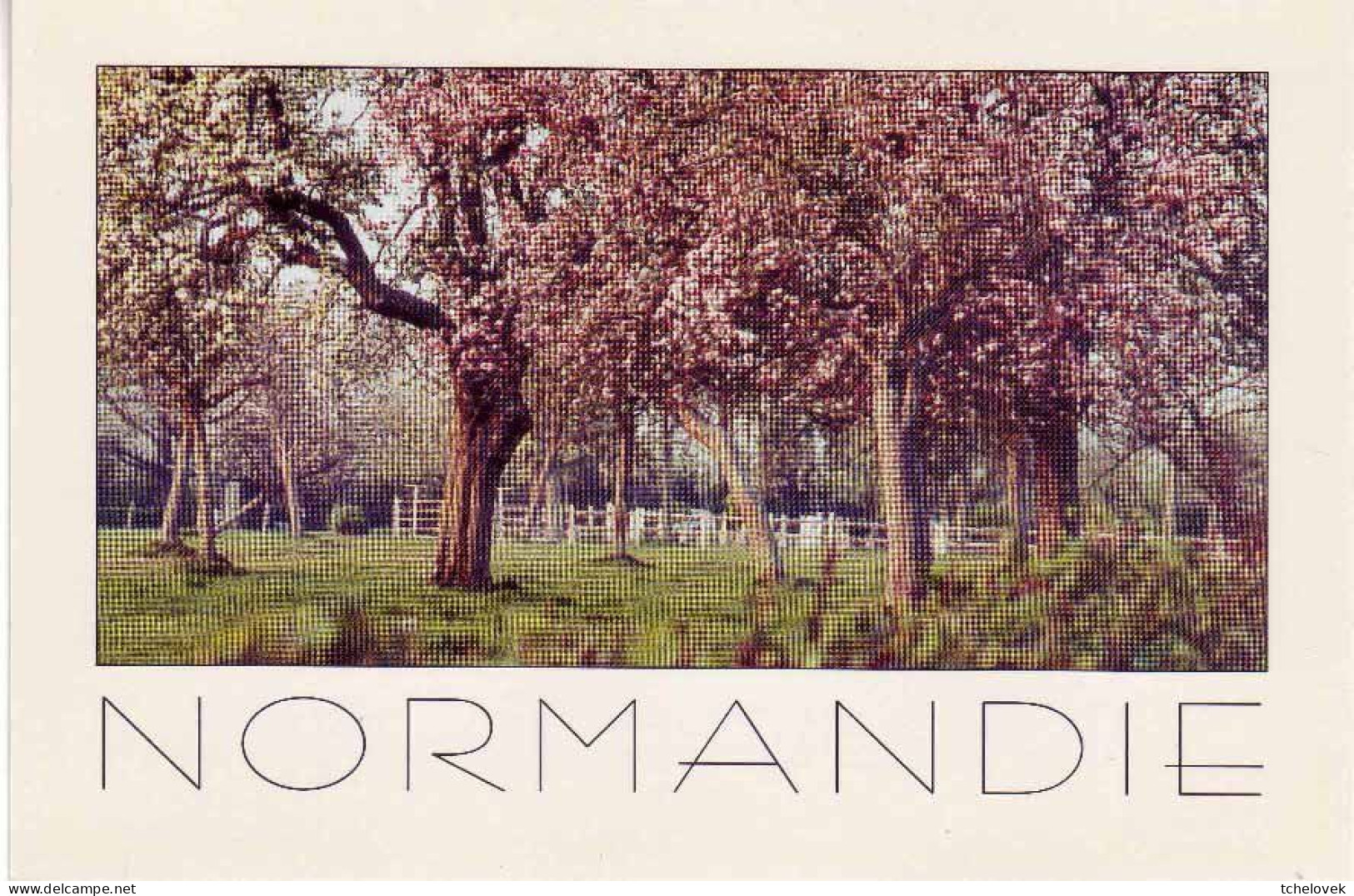 0 Regions. Normandie. 76.000.156 Ane Lait Chaumières & SC4 chaumière & a la ferme & pommiers & (1) & (2)