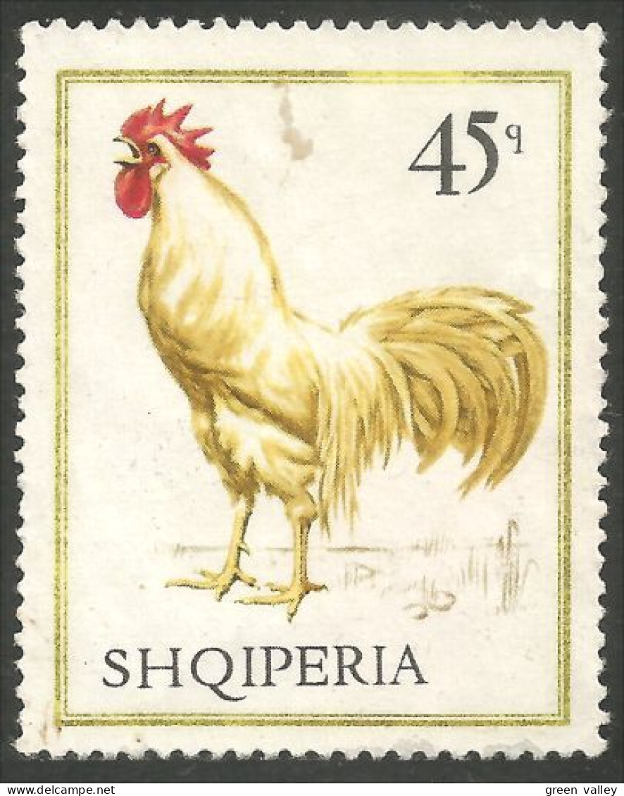 120 Albanie Coq Rooster Hahn Huhn Chicken (ALB-378) - Hühnervögel & Fasanen