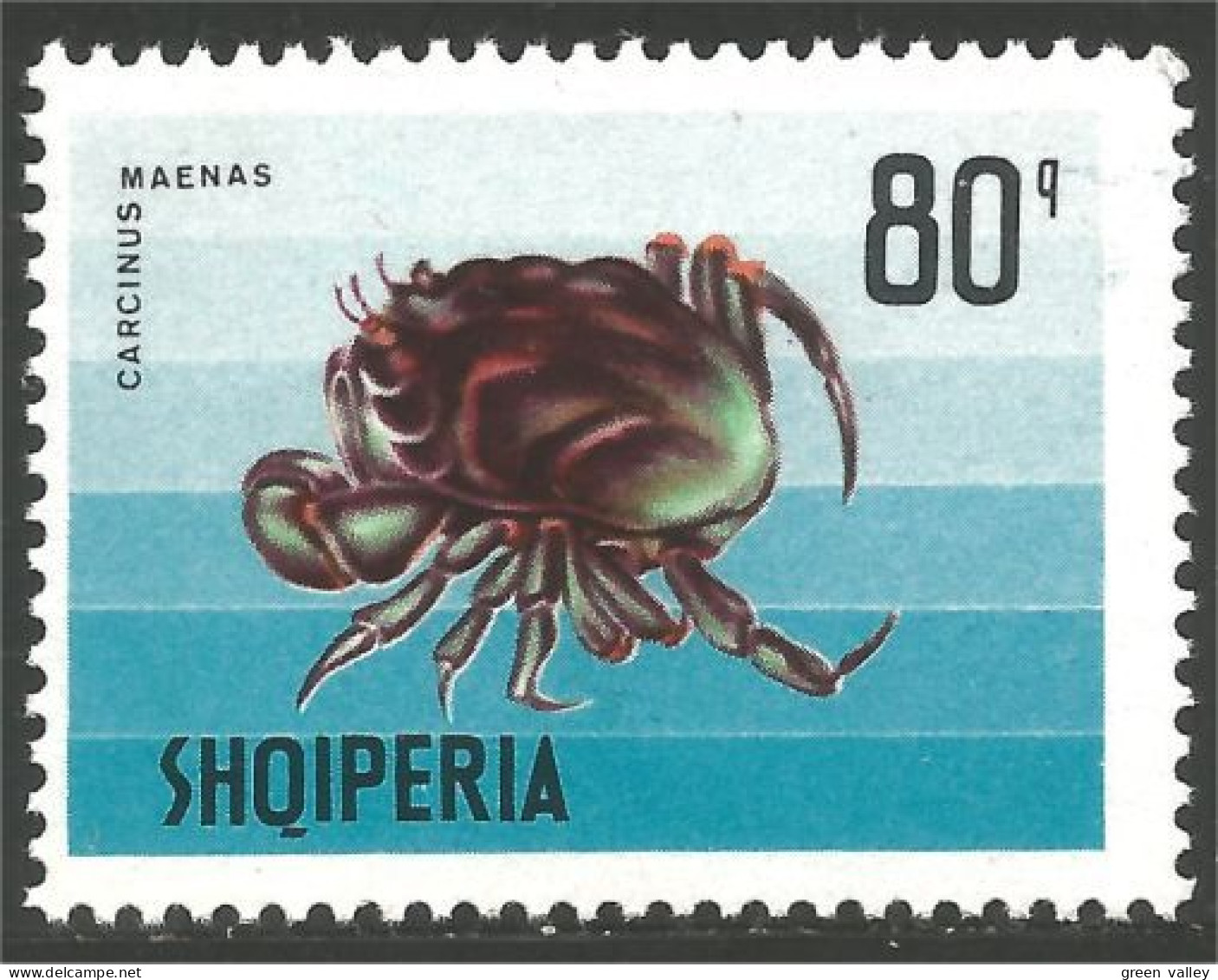 120 Albanie Shore Crab Crabe MH * Neuf (ALB-321) - Schalentiere