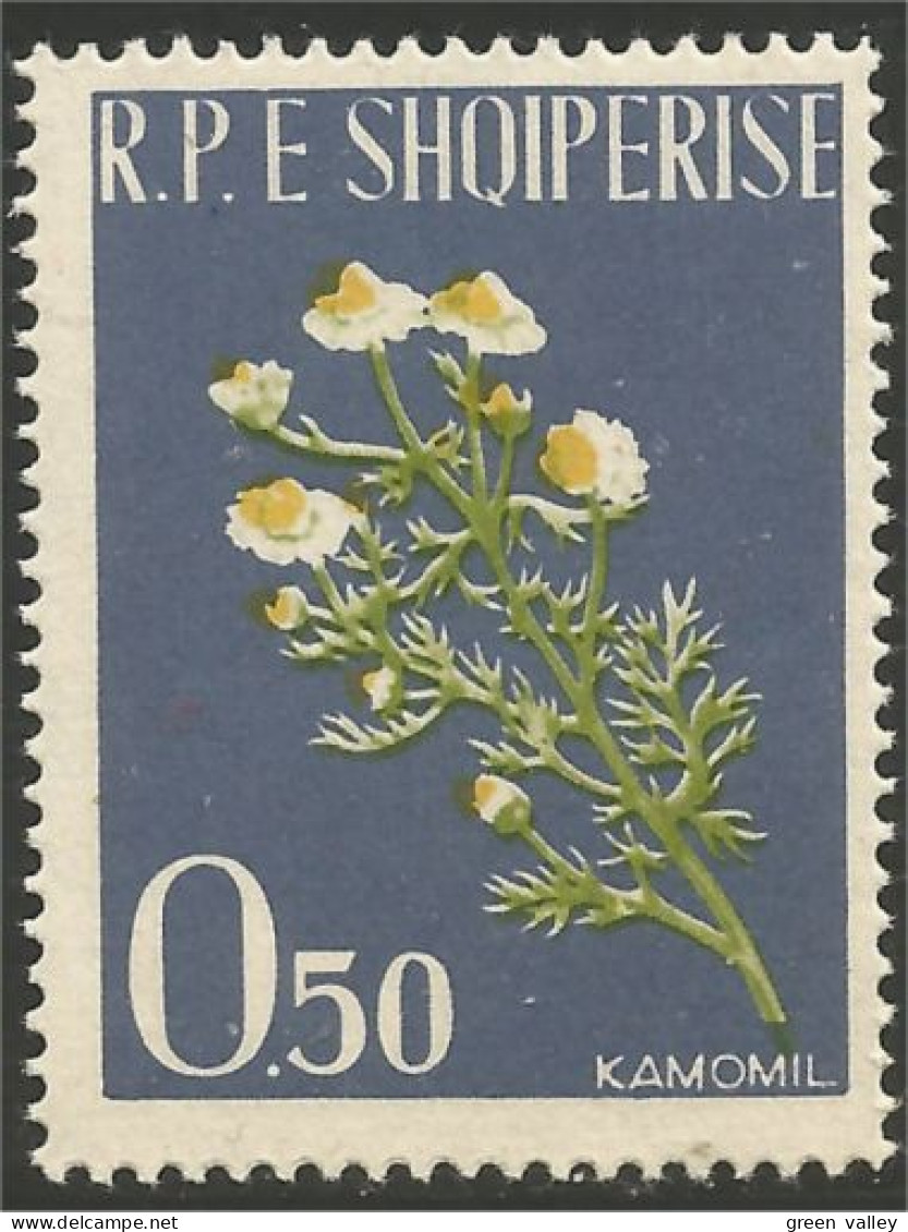 120 Albanie 1962 Camomille Medicinale MNH ** Neuf SC (ALB-274c) - Plantes Médicinales