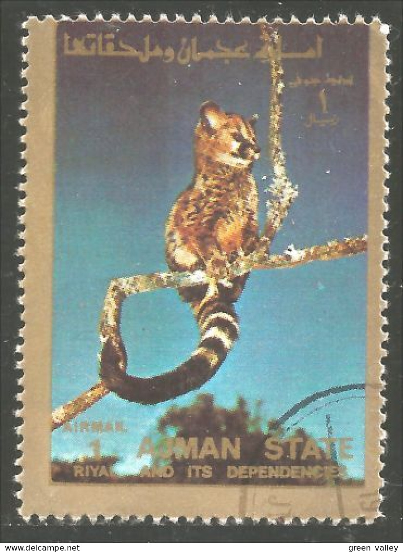 116 Ajman Singes Apes Monkeys Affe Aap Scimmia Mono (AJM-195) - Apen