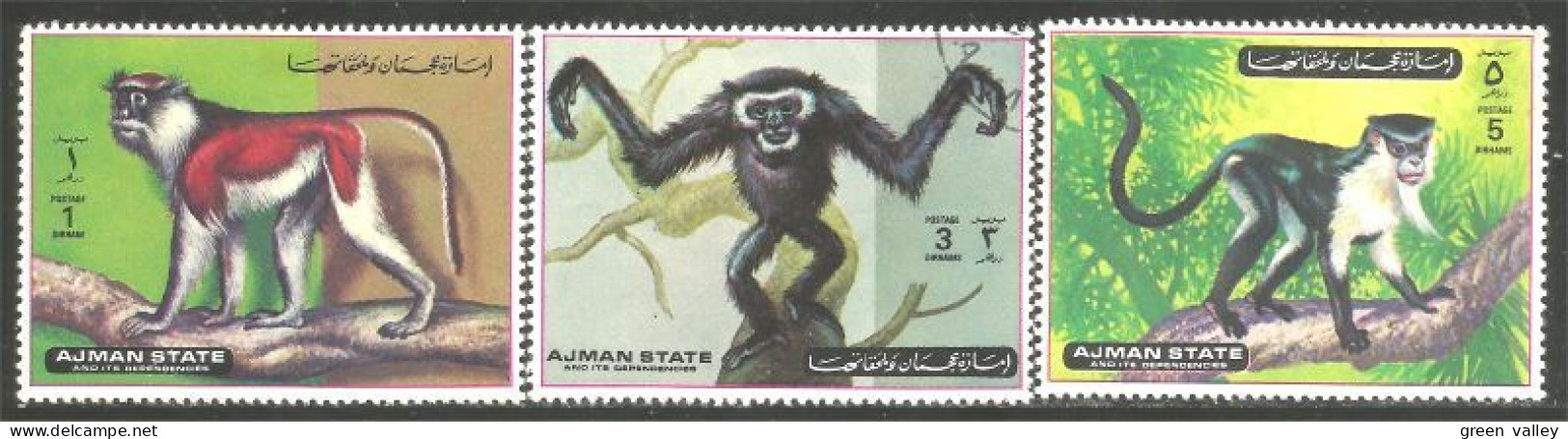 116 Ajman Singes Apes Monkeys Affe Aap Scimmia Mono (AJM-193) - Affen