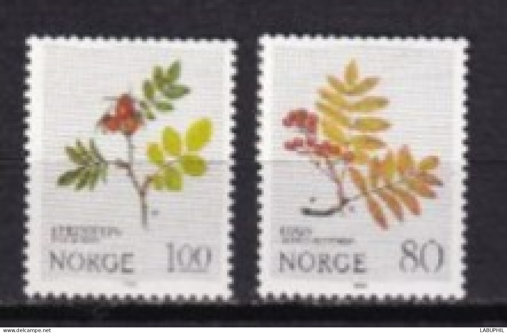 NORVEGE NEUF MNH ** 1980 Fleurs - Ongebruikt