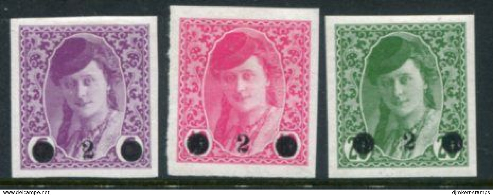 KINGDOM OF SHS 1919 Bosnia Newspaper Stamps Surcharged 2 (H.) LHM / *.  Michel 27-29 - Unused Stamps