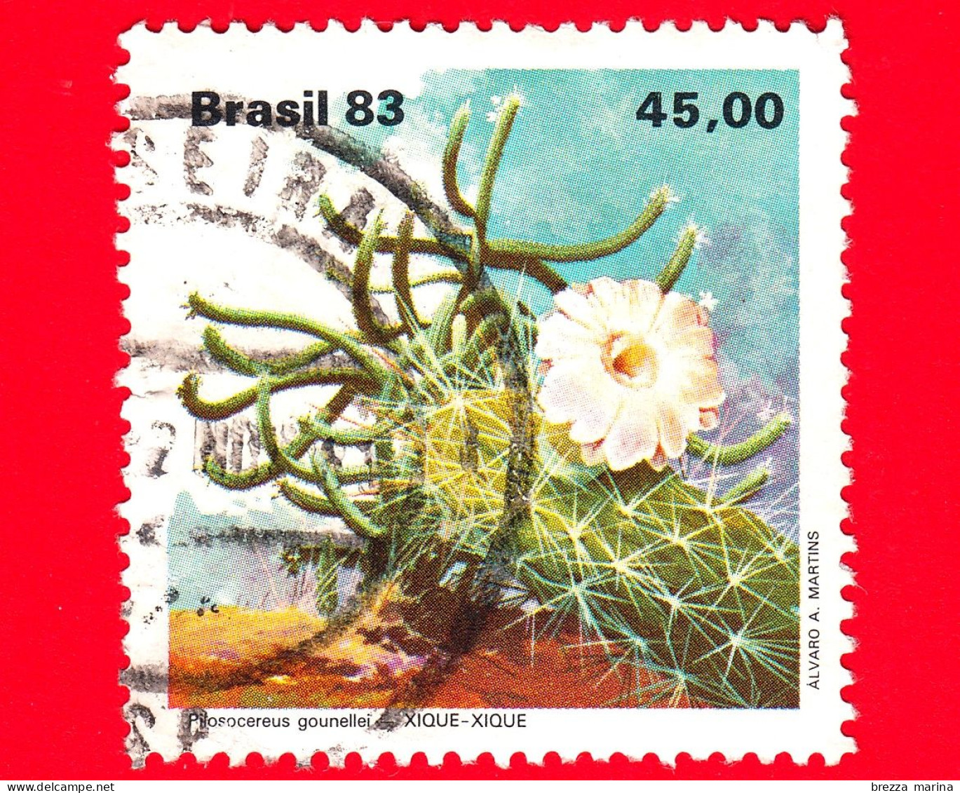 BRASILE - Usato - 1983 - Cactus - Xique-Xique (Pilosocereus Gounellei) - 45 - Used Stamps