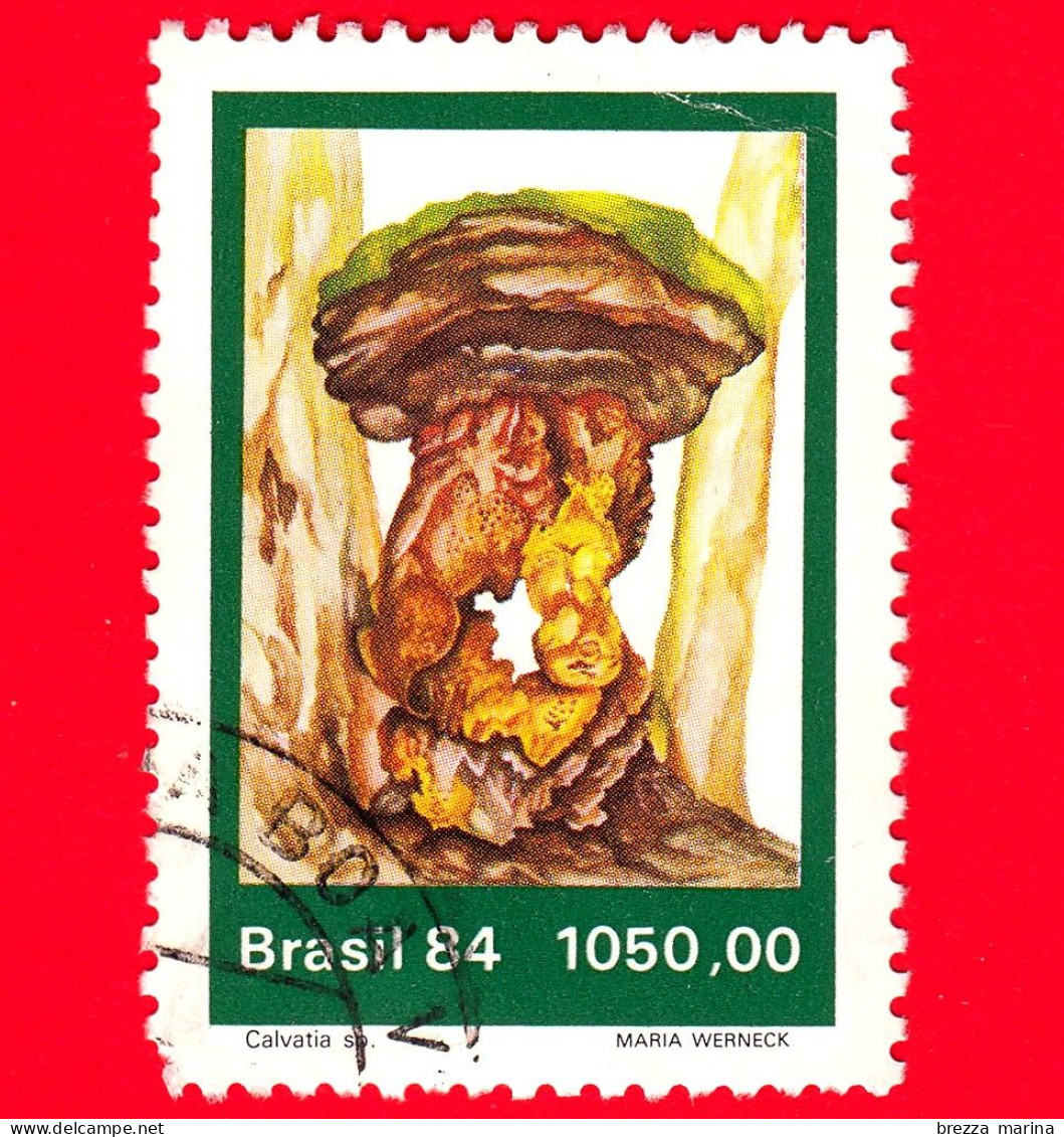 BRASILE - Usato - 1984 - Funghi - Calvatia Sp. - 1050.00 - Oblitérés