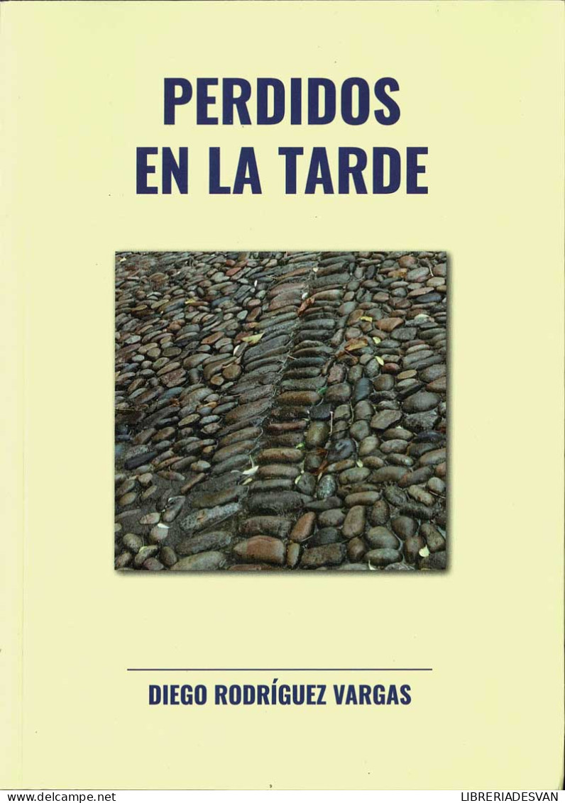 Perdidos En La Tarde (dedicado) - Diego Rodríguez Vargas - Philosophie & Psychologie