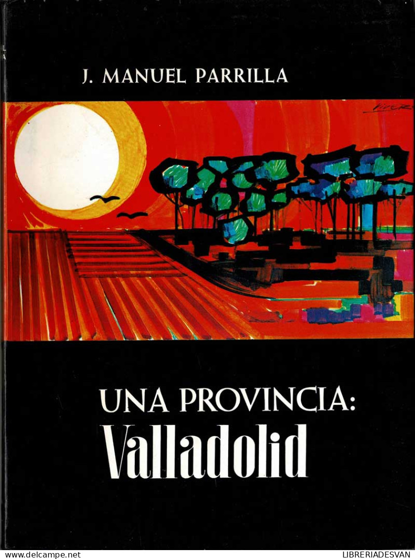 Una Provincia: Valladolid - J. Manuel Parrilla - Geschiedenis & Kunst
