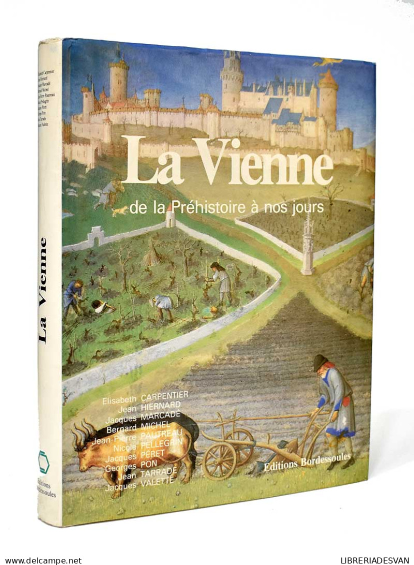 La Vienne De La Préhistoire A Nos Jours - Geschiedenis & Kunst