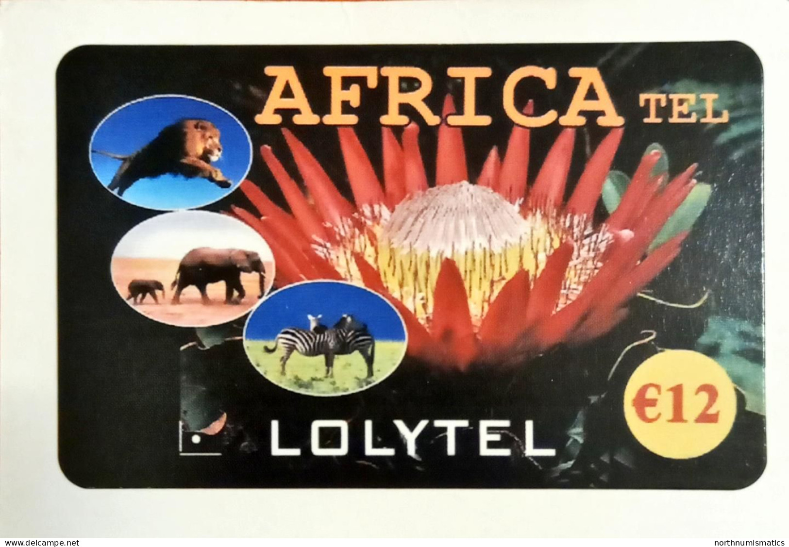 Lolytel Africa Tel Sample Prepaid Phone Card - Lots - Collections