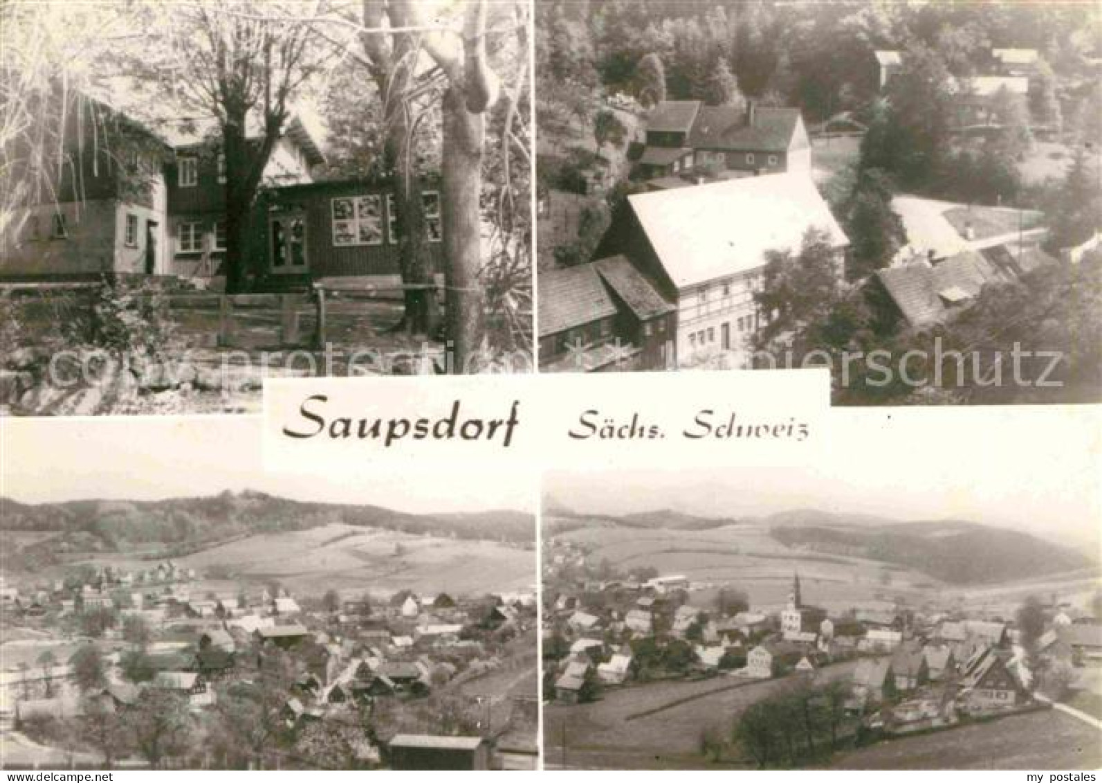 72643983 Saupsdorf Teilansichten Kirnitzschtal - Kirnitzschtal