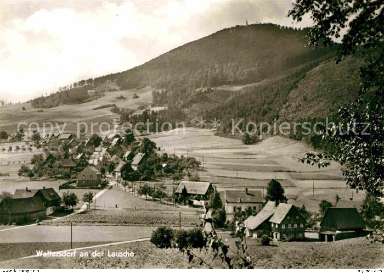 72643948 Waltersdorf Zittau An Der Lausche Grossschoenau Sachsen - Grossschoenau (Sachsen)