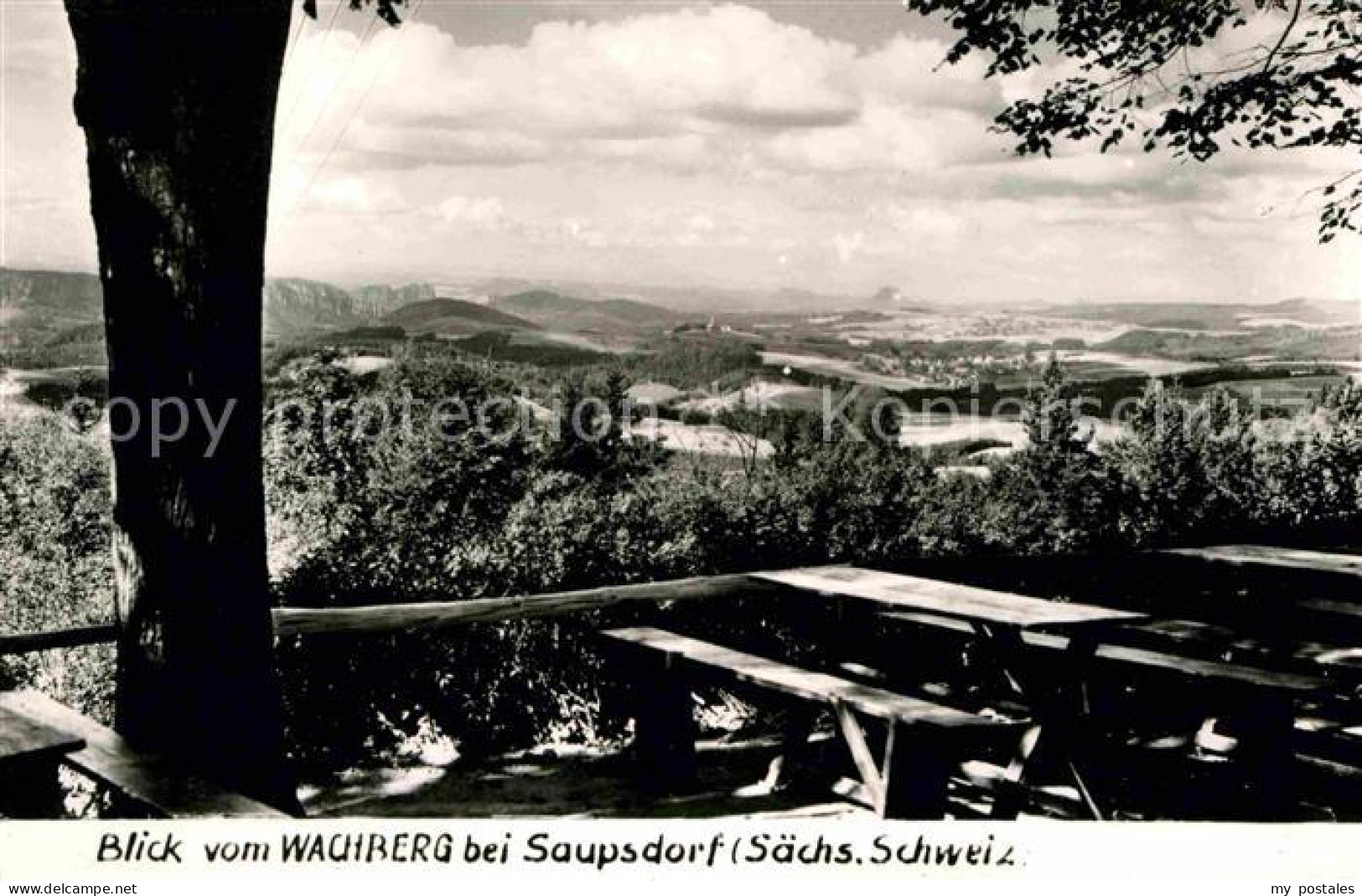 72643066 Saupsdorf Panorama Blick Vom Wachberg Handabzug Kirnitzschtal - Kirnitzschtal