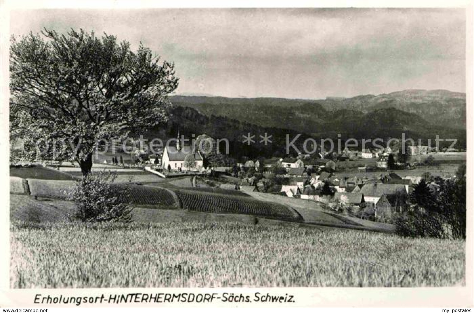 72643009 Hinterhermsdorf Panorama Erholungsort Sebnitz - Sebnitz