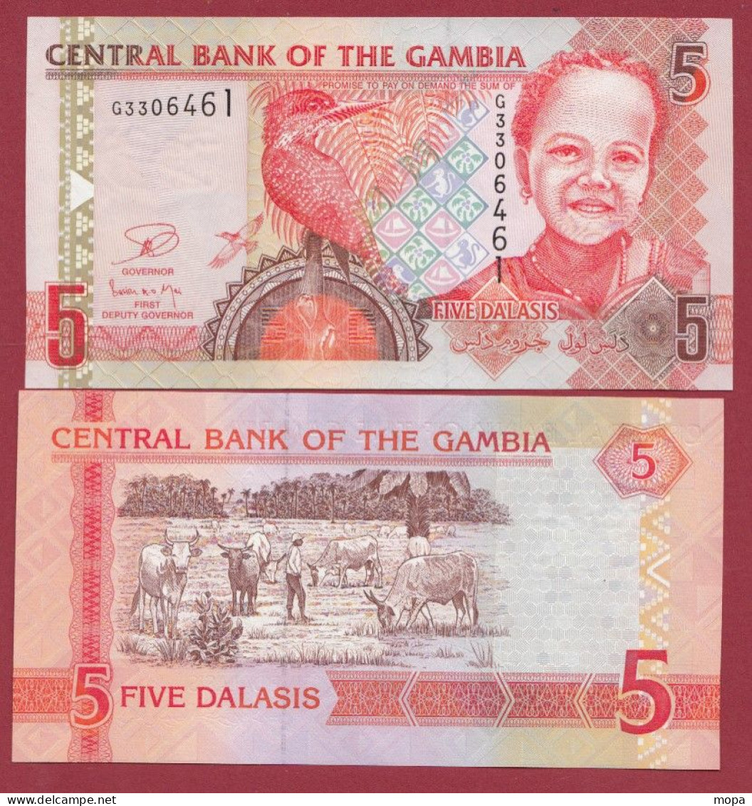 Gambie --5  Dalasis--- 2013 ---UNC---(123) - Gambia