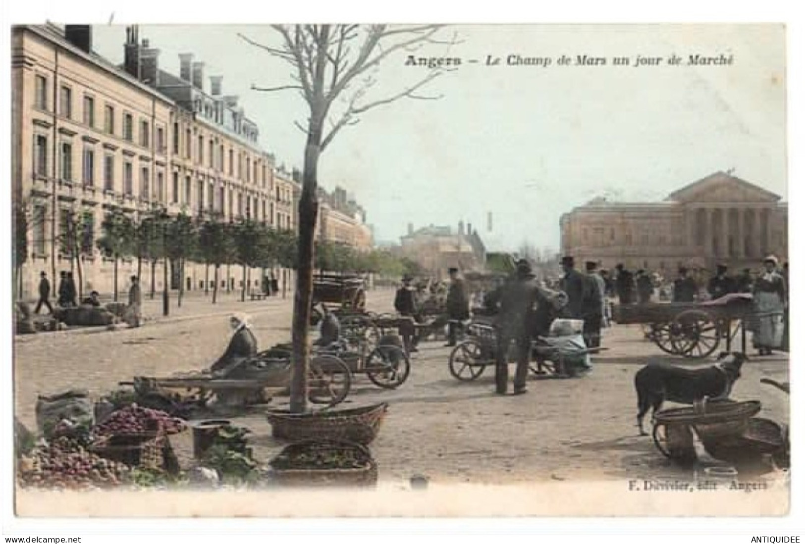 ANGERS - Le Champ De Mars Un Jour De Marché - (13 JUIN 1904) - CARTE COLORISEE - - Mercati