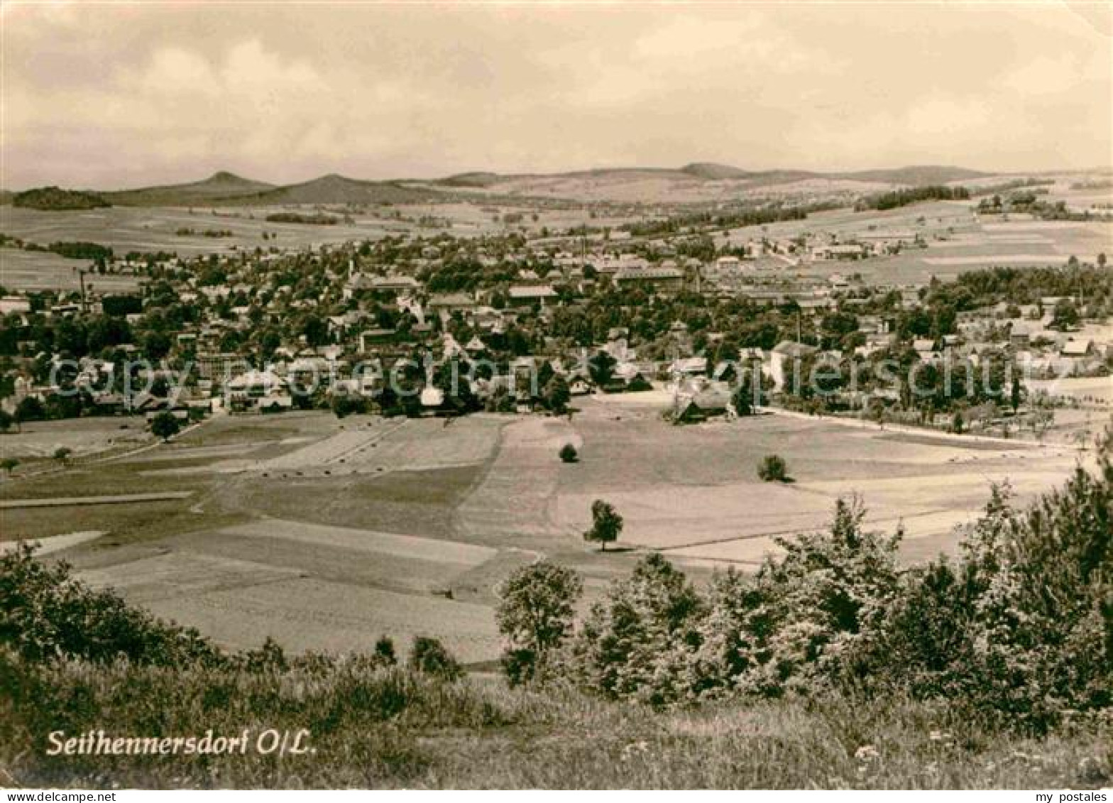 72641590 Seifhennersdorf Panorama Seifhennersdorf - Seifhennersdorf