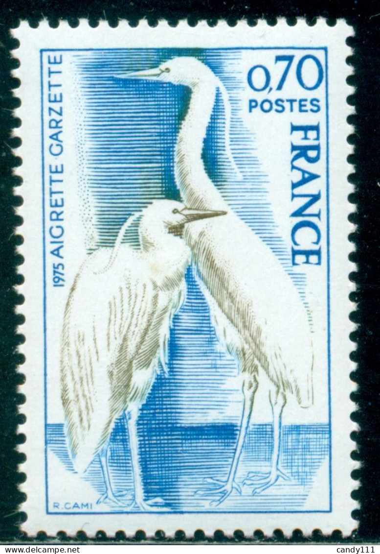 1975 The Little Egret,Egretta Garzetta,species Of Small Heron,France,1904  ,MNH - Cranes And Other Gruiformes