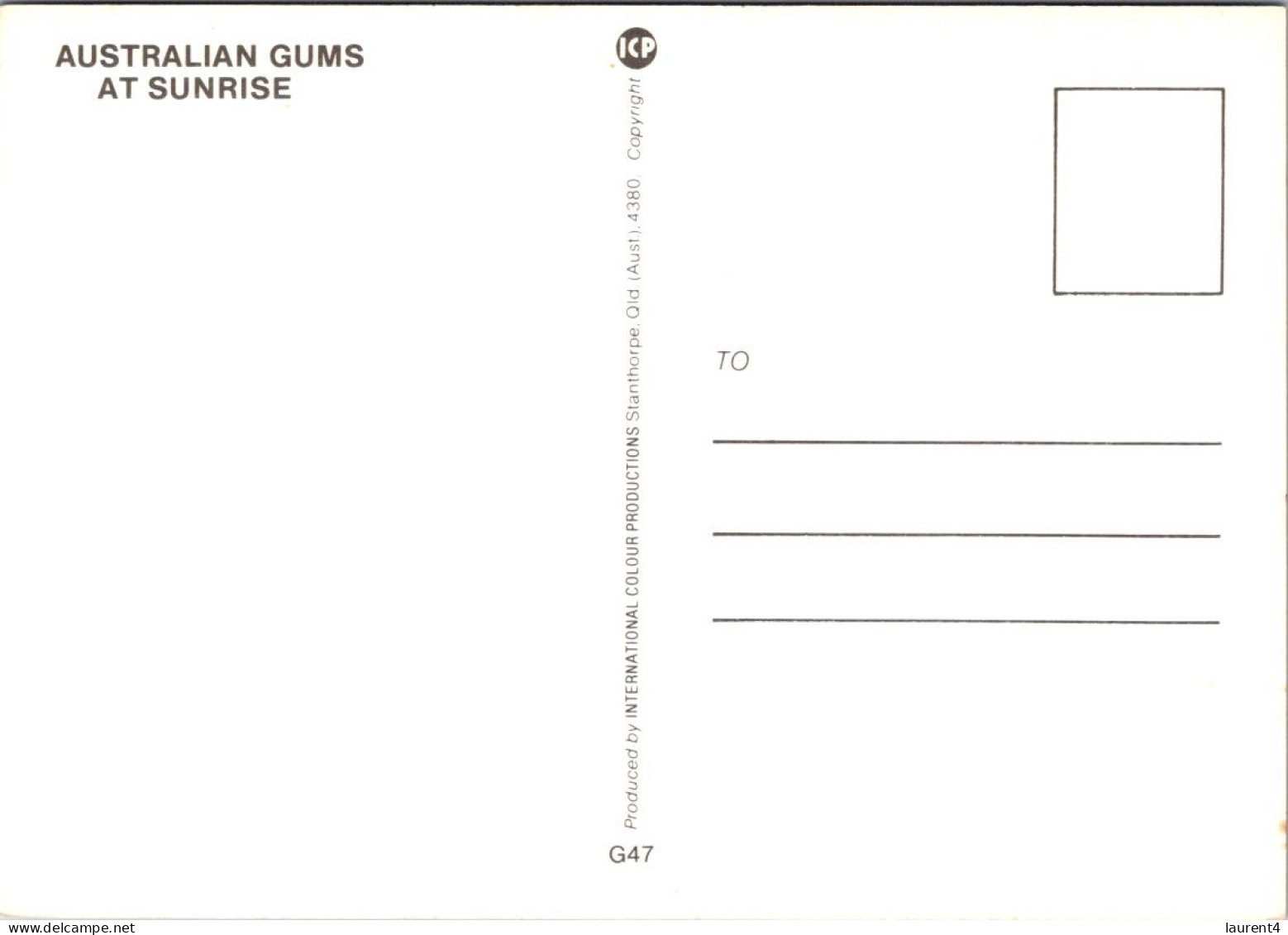 29-2-2024 (1 Y 32) Australia - Gum Tree At Sunset - Alberi