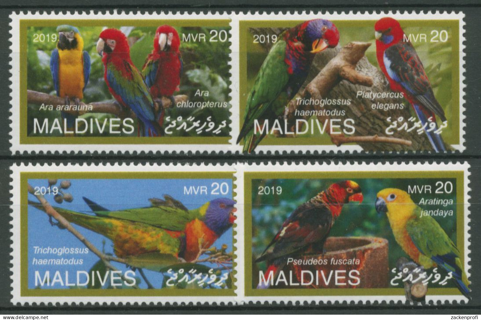 Malediven 2019 Tiere Vögel Papageien 8359/62 Postfrisch - Malediven (1965-...)