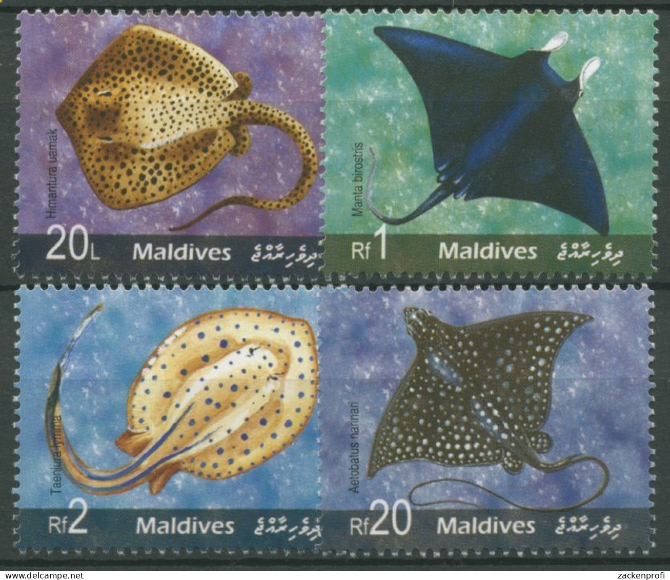 Malediven 2006 Tiere Fische Rochen 4504/07 Postfrisch - Maldivas (1965-...)