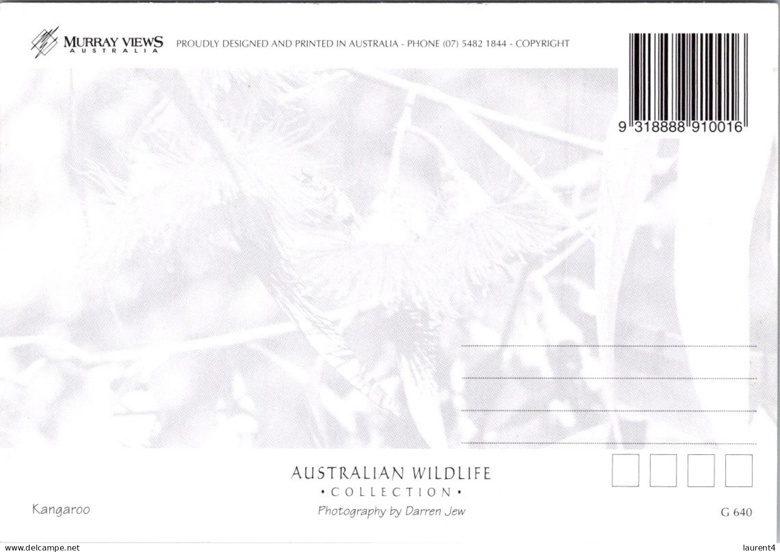 29-2-2024 (1 Y 32) Australia - NT - Darwin (Kangaroo) - Darwin