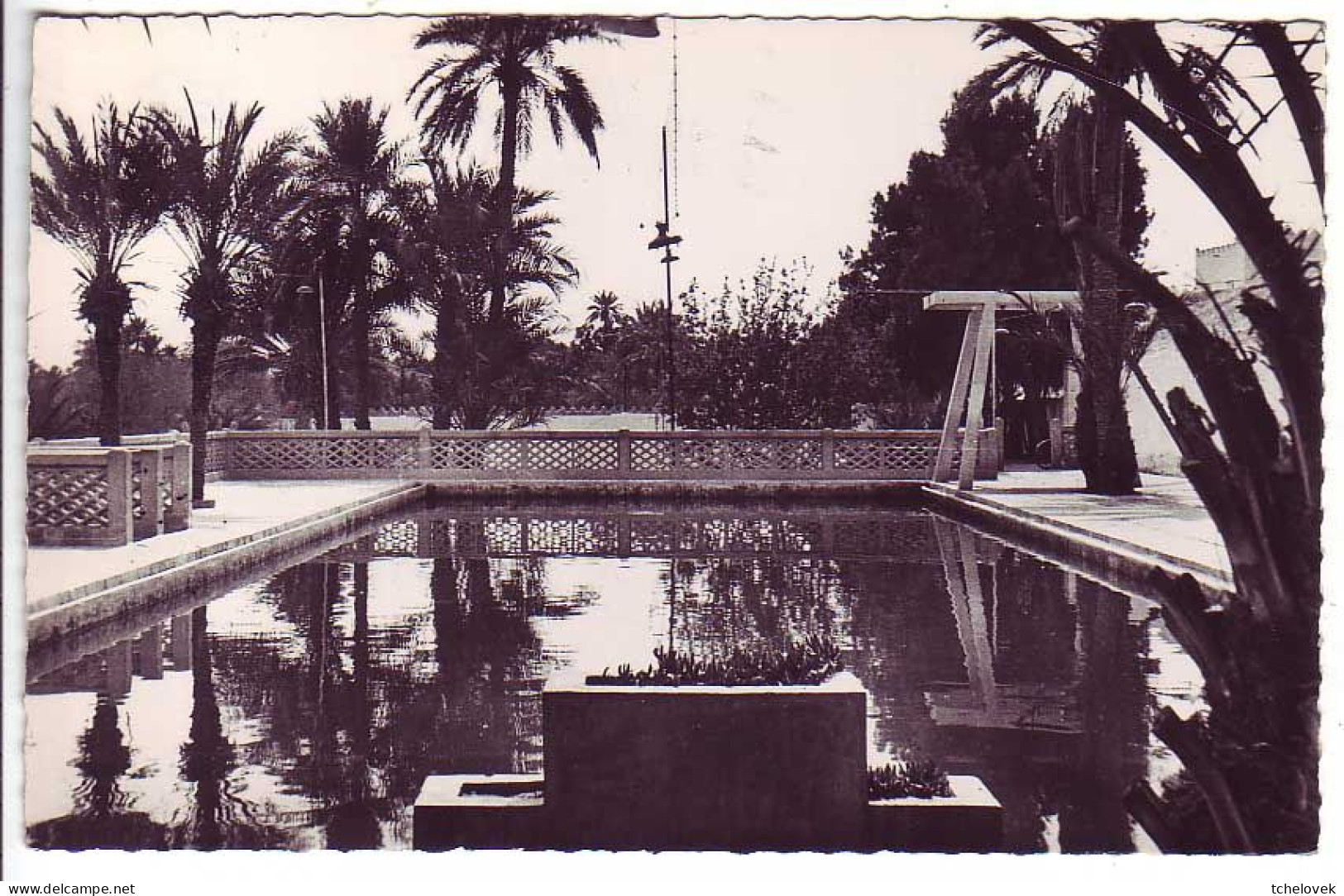 (99). Algerie. Algéria. Colomb Bechar. 1011. Piscine Municipale Franchise Militaire 1959 & Piscine N&B - Bechar (Colomb Béchar)