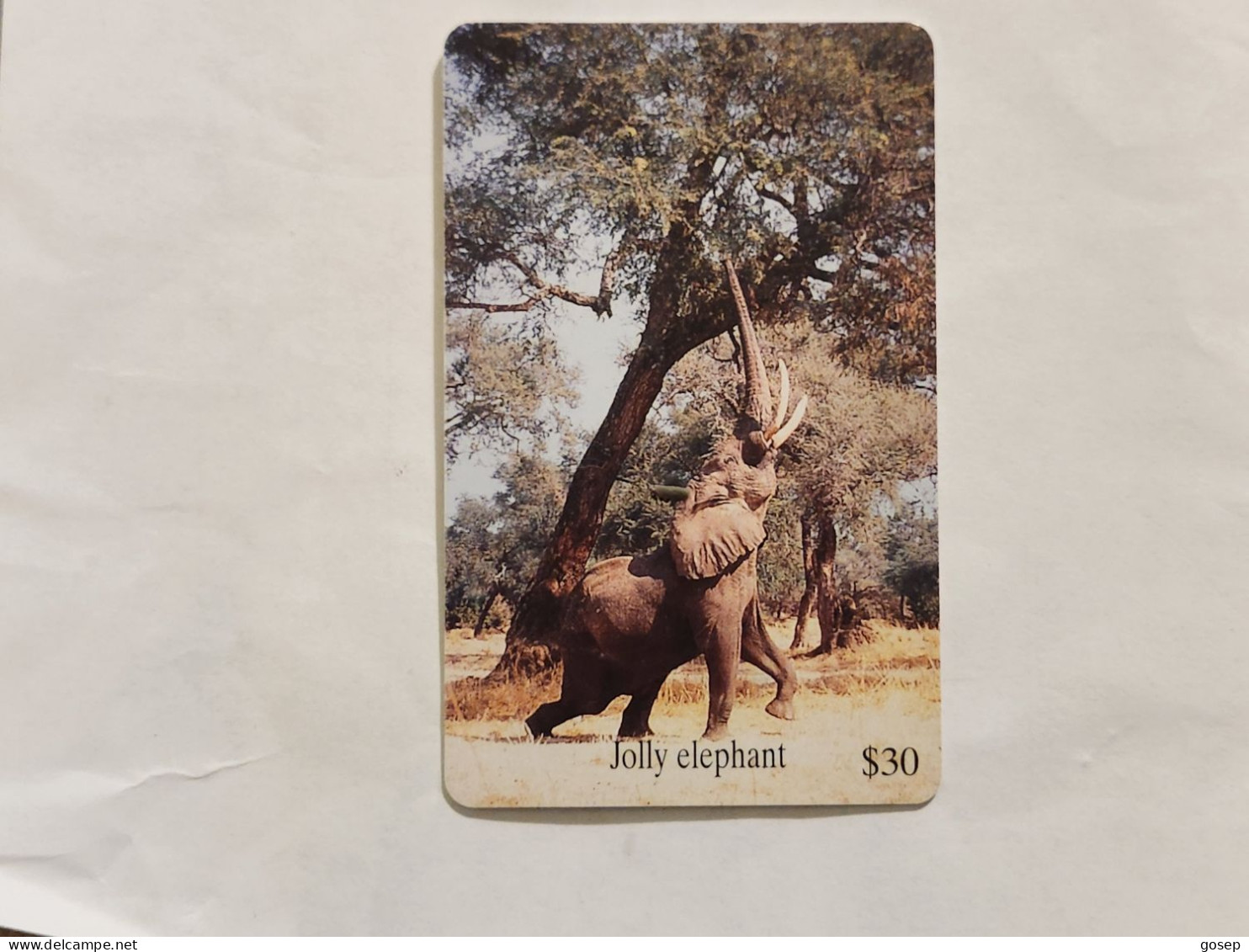 Zimbabwe-(ZIM-24)-Jolly Elephant-(74)-($30)-(1000-089574)-(1/12/2000)-used Card+1card Free - Simbabwe