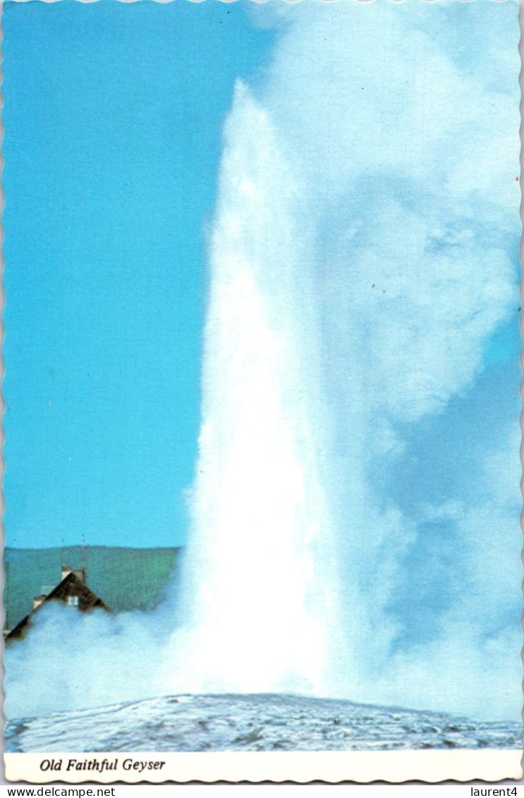 29-2-2024 (1 Y 34) USa - Yellowstonw NP Old Faitfull Geyser - Yellowstone