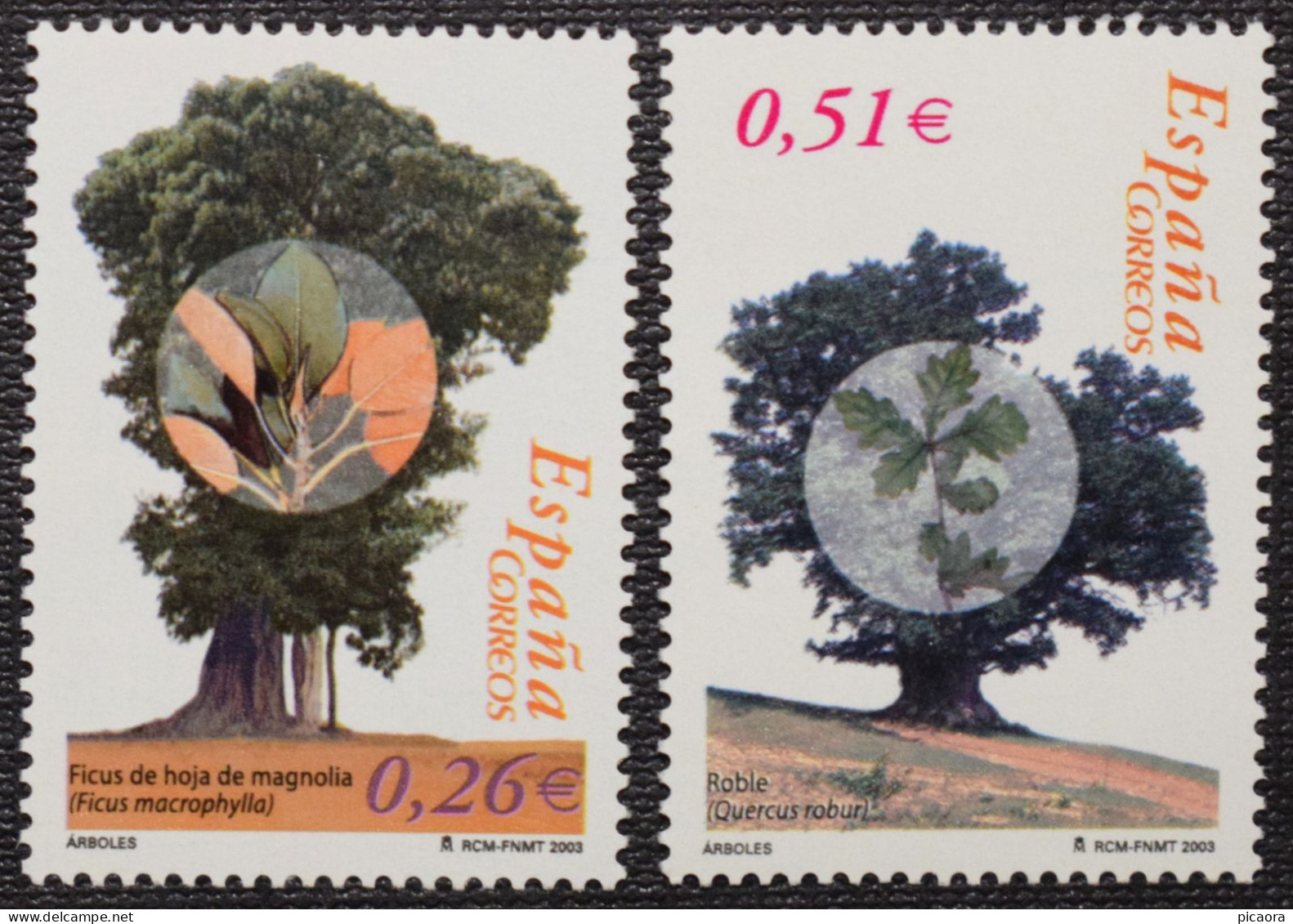 España Spain 2003  Arboles Monumentales  Mi 3883/84  Yv 3597/98  Edi 4022/23  Nuevo New MNH ** - Trees