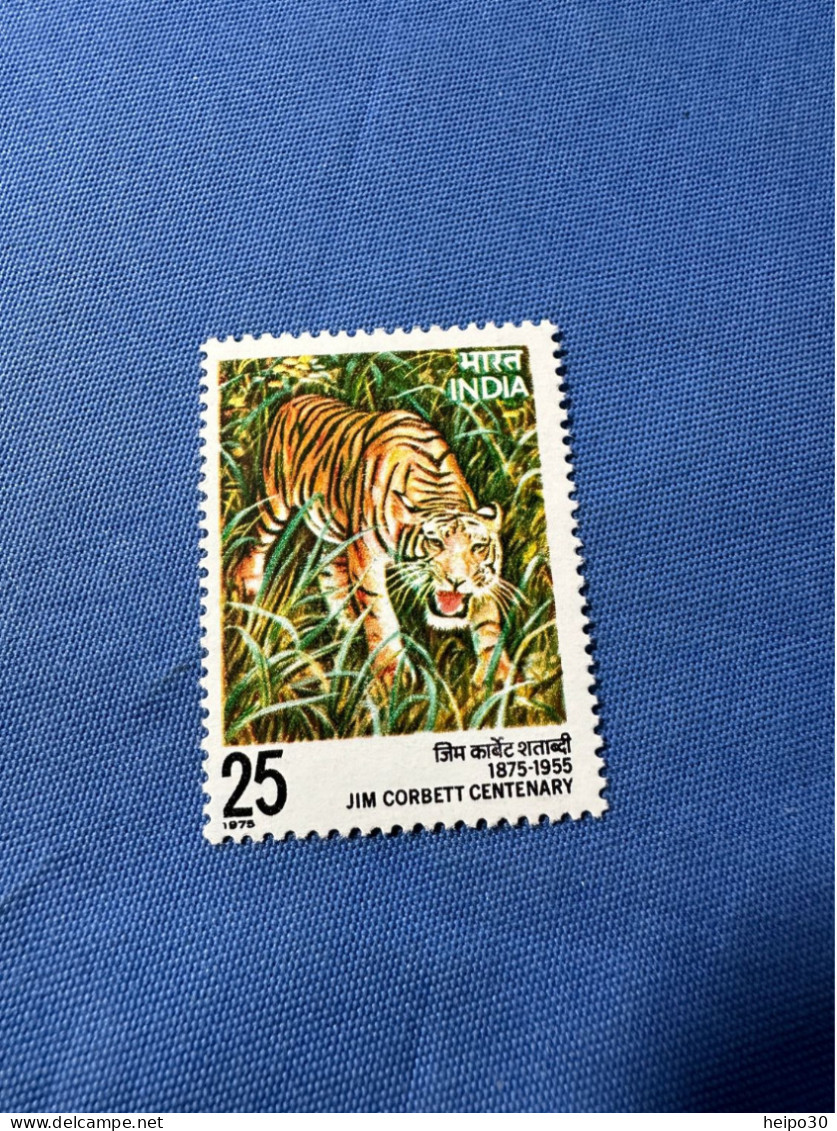 India 1976 Michel 666 Jim Corbett MNH - Unused Stamps