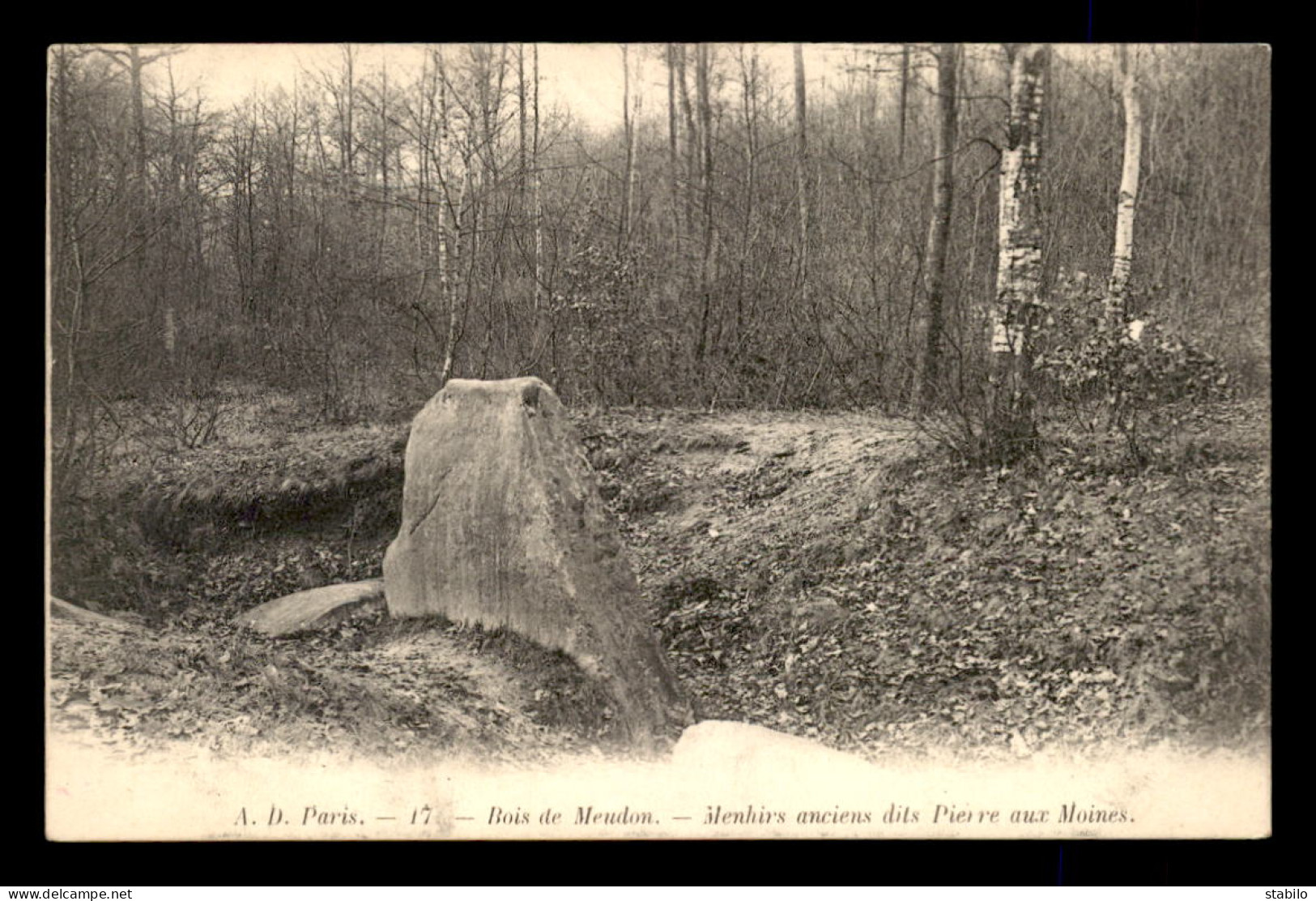 DOLMENS - BOIS DE MEUDON - MENHIRS ANCIENS DITS PIERRE AUX MOINES (HAUTS-DE-SEINE) - Dolmen & Menhire